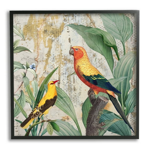 Stupell Industries Perched Birds Collage Animals & Insects Painting Black Framed Art Print Wall Art, 12 x 12
