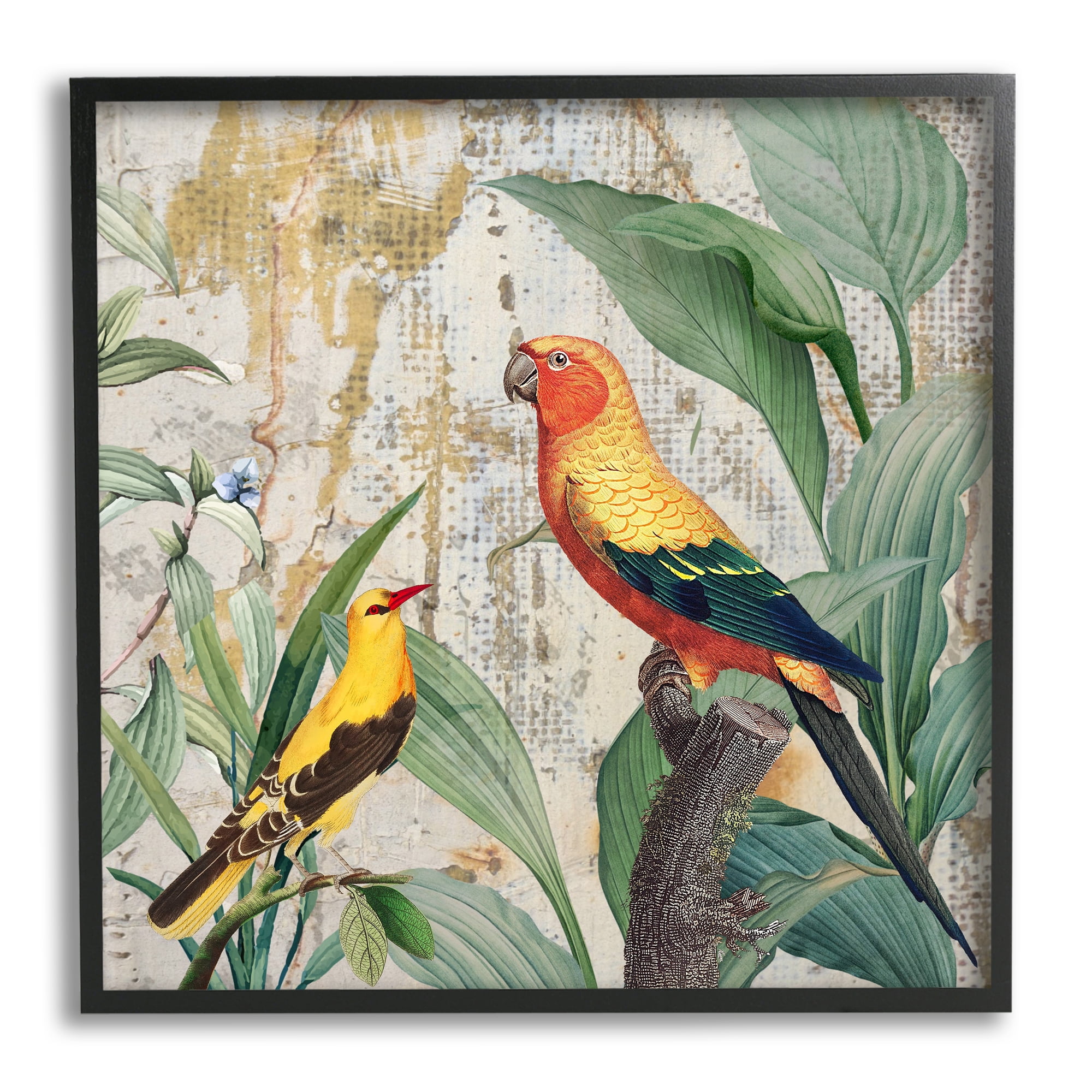 Stupell Industries Perched Birds Collage Animals & Insects Painting Black Framed Art Print Wall Art, 17 x 17