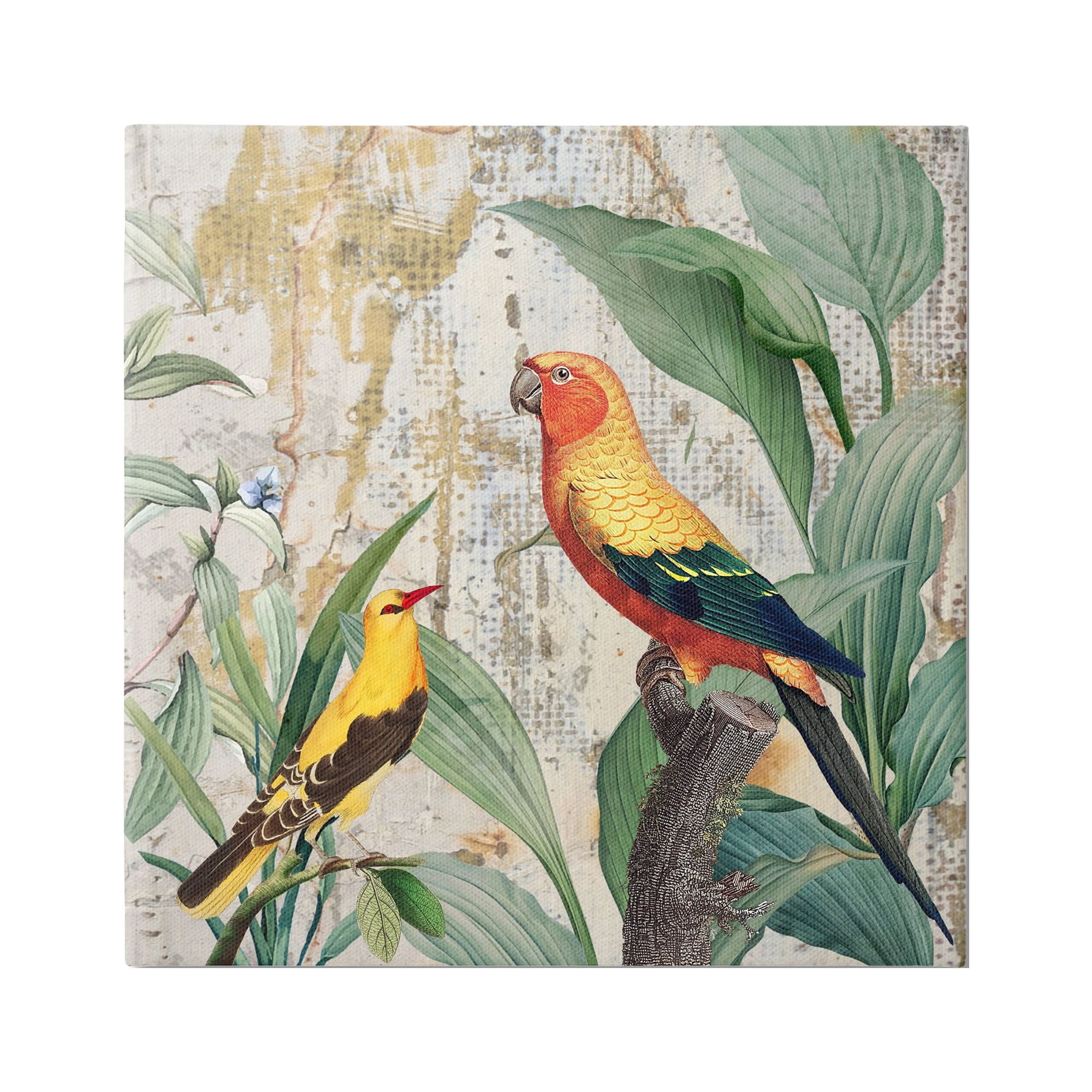 Stupell Industries Perched Birds Collage Animals & Insects Painting Gallery Wrapped Canvas Art Print Wall Art, 17 x 17