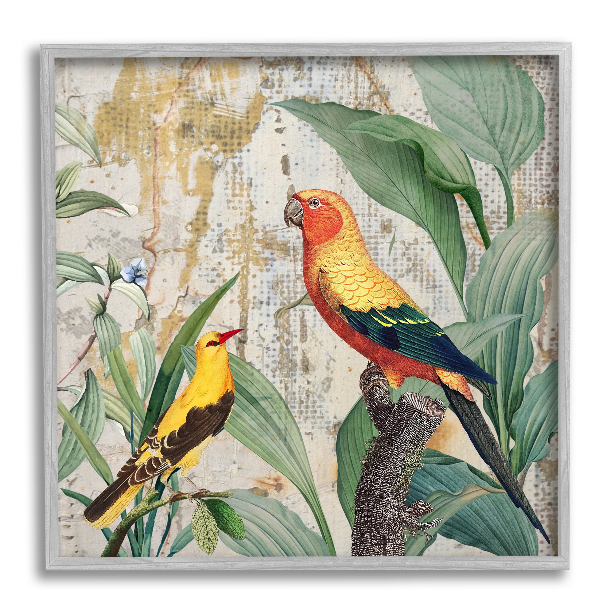 Stupell Industries Perched Birds Collage Animals & Insects Painting Gray Framed Art Print Wall Art, 17 x 17