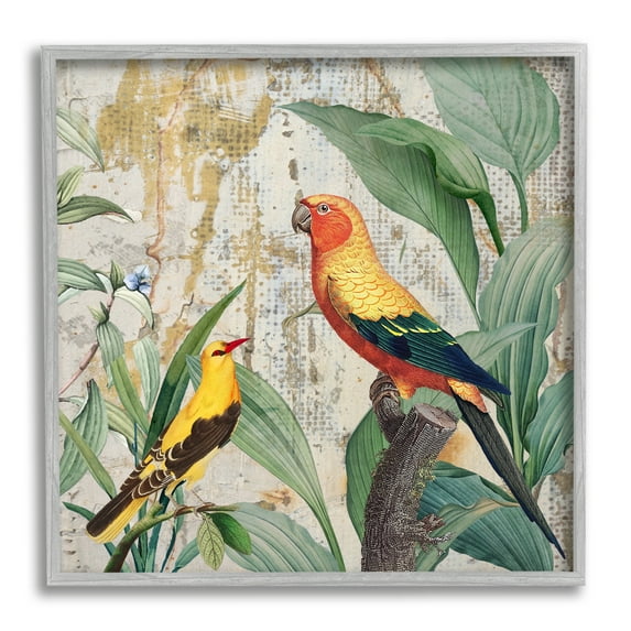 Stupell Industries Perched Birds Collage Animals & Insects Painting Gray Framed Art Print Wall Art, 24 x 24