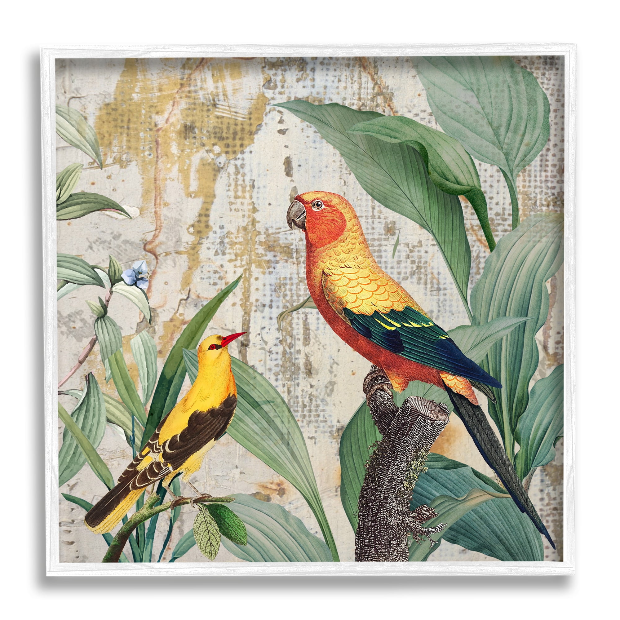Stupell Industries Perched Birds Collage Animals & Insects Painting White Framed Art Print Wall Art, 12 x 12