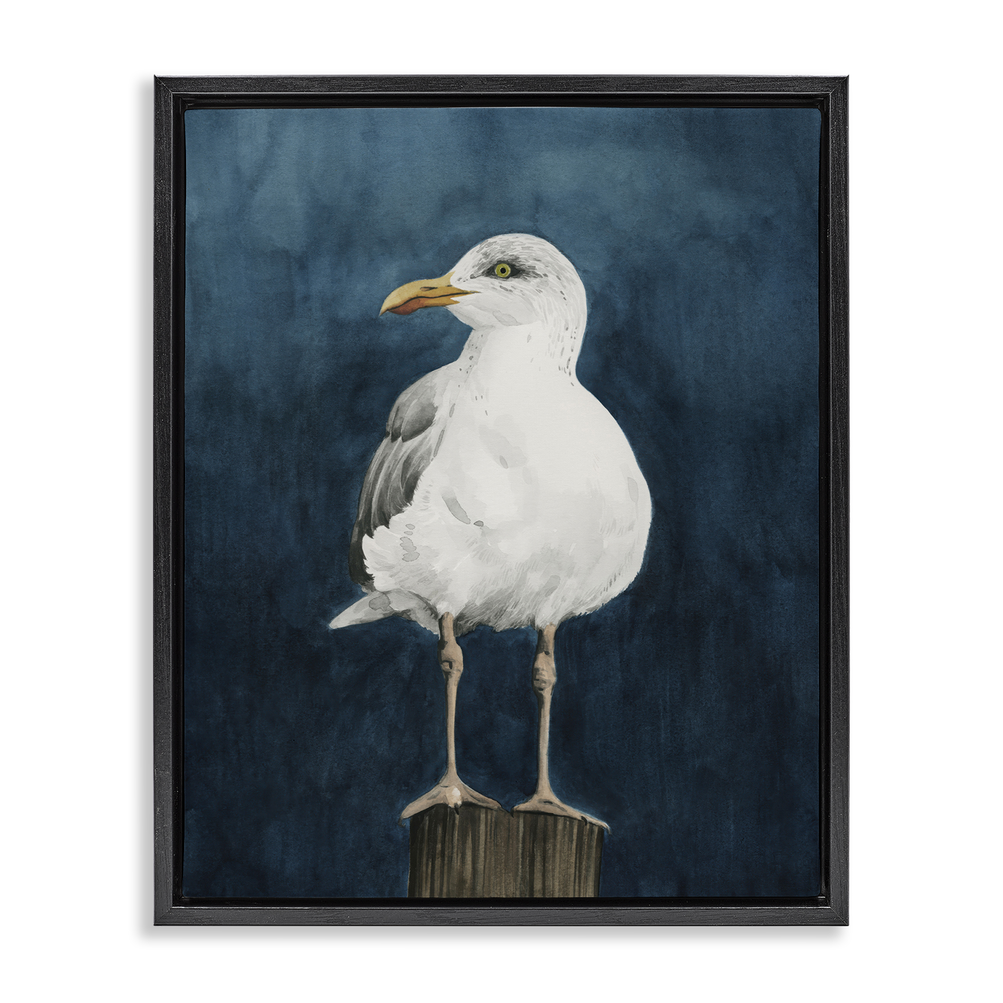 Stupell Industries Perched Coastal Bird Animals Painting Black Floater Framed Canvas Art Print Wall Art, 25 x 31