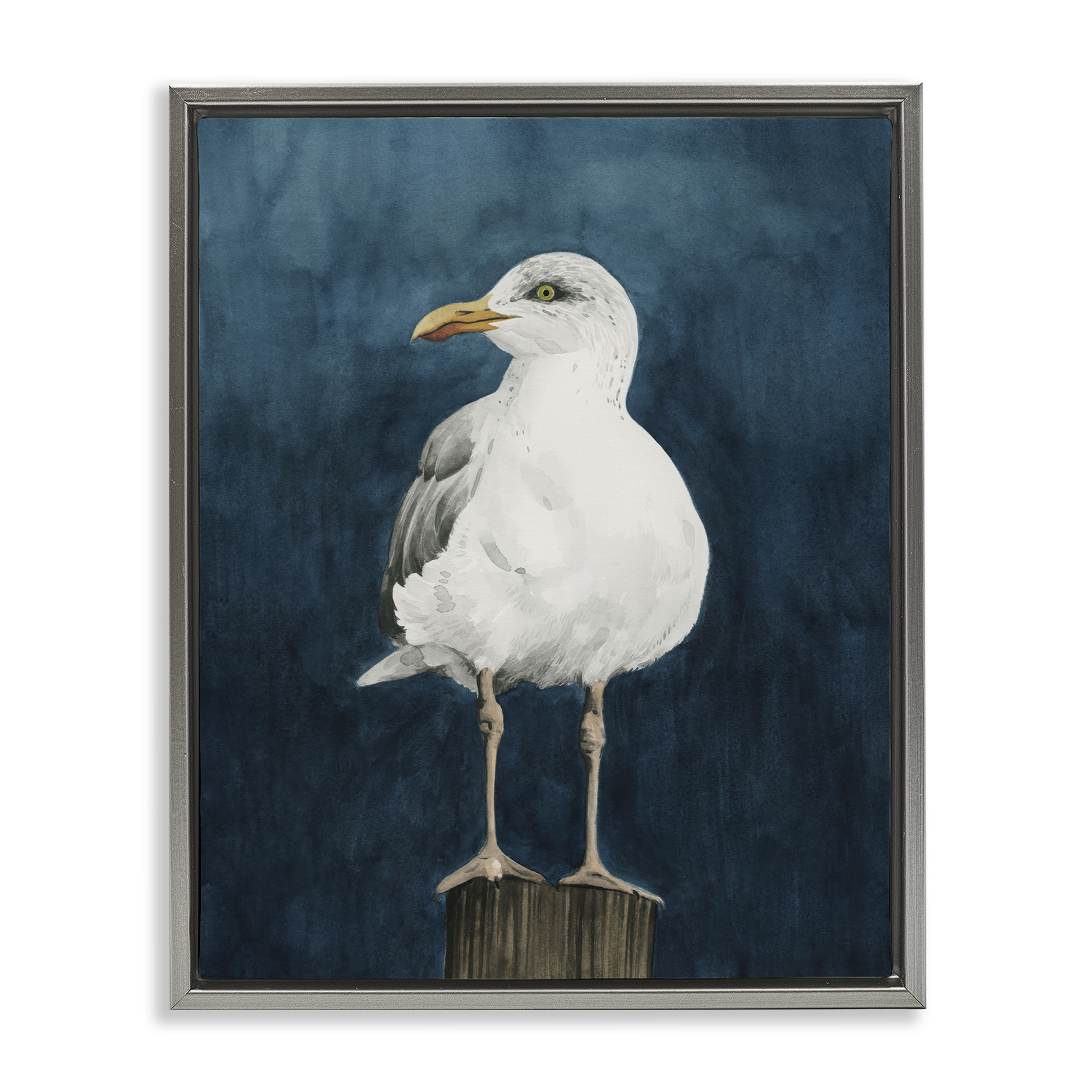 Stupell Industries Perched Coastal Bird Animals Painting Gray Floater Framed Canvas Art Print Wall Art, 25 x 31