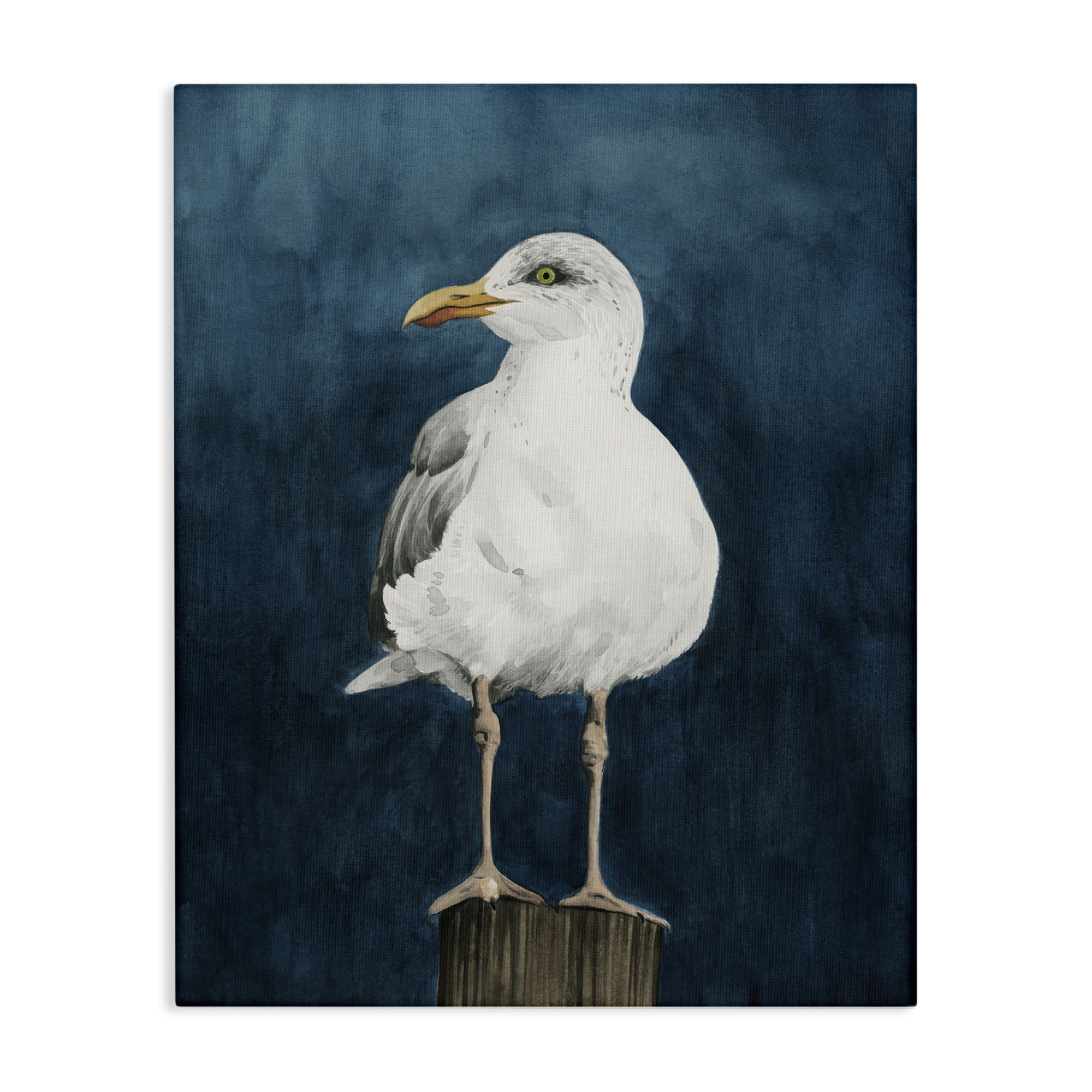 Stupell Industries Perched Coastal Bird Animals Painting Wrapped Canvas Art Print Wall Art, 36 x 48