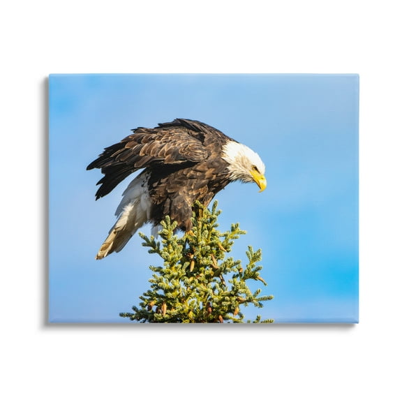 Stupell Industries Perched Eagle Photography Animals & Insects Photography Gallery Wrapped Canvas Art Print Wall Art, 40 x 30
