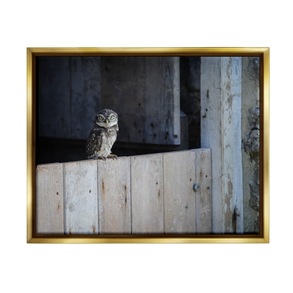 Stupell Industries Perched Owl Rural Barn Ledge Wildlife Photography Photograph Metallic Gold Floating Framed Canvas Print Wall Art, Design by James Dobson