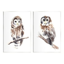 Stupell Industries Perched Owl Wildlife Portrait Painting Unframed Art Print Wall Art, Set of 2, Design by Annie Warren