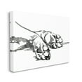 thumbnail image 1 of Stupell Industries Pet Animal Paws Minimal Ink Linework Canvas Wall Art by Jennifer Paxton Parker, 1 of 6