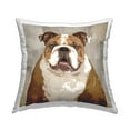 thumbnail image 1 of Stupell Industries Pet Bulldog Portrait Abstract Beige Pattern Country Brown,18 x 7 x 18 Decorative Pillows, 1 of 6