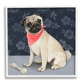 thumbnail image 1 of Stupell Industries Pet Pug & Bone Animals & Insects Painting White Framed Art Print Wall Art, 12 x 12, 1 of 9