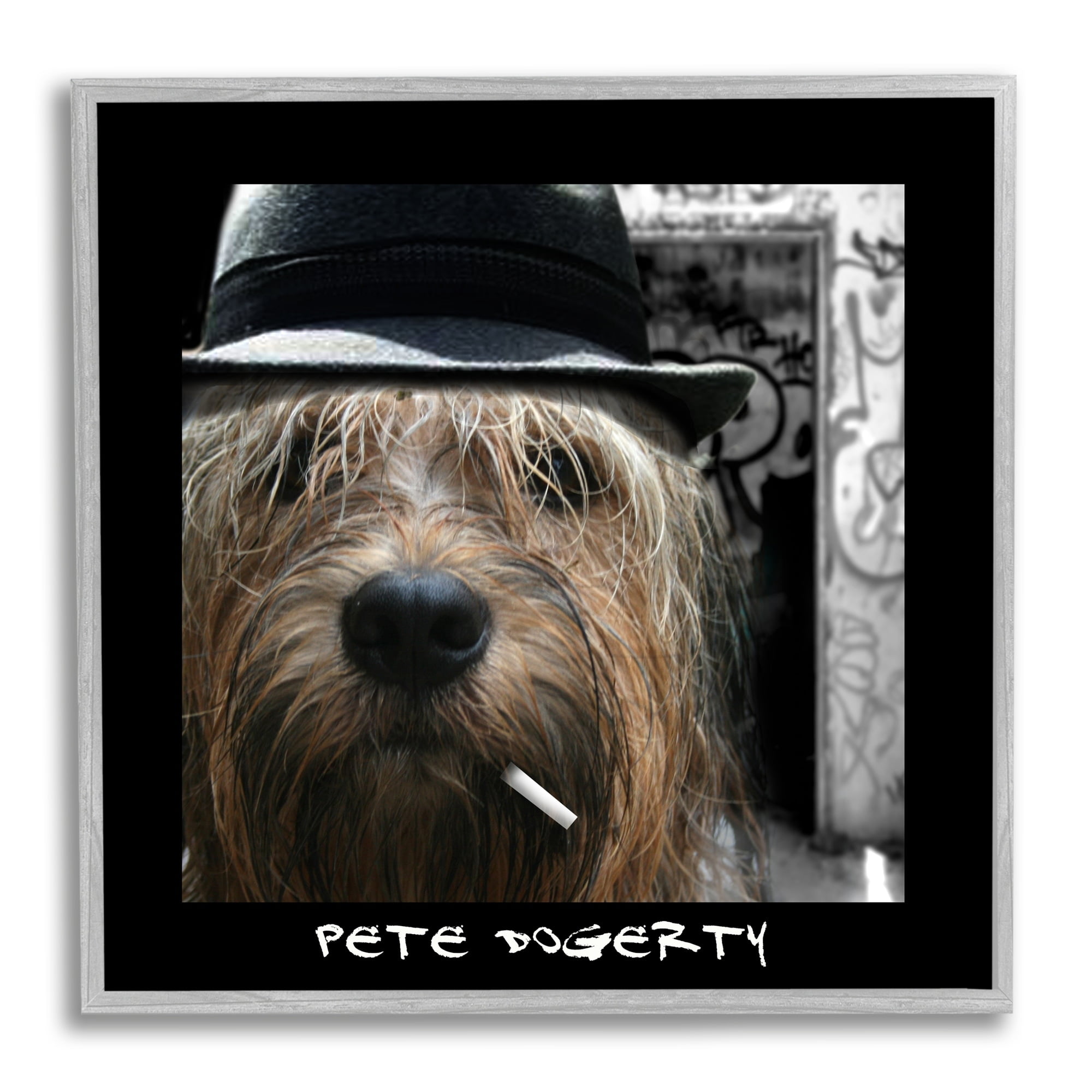 Stupell Industries Pete Dogerty Humorous Musician Hat Cigarette Dog Photograph Gray Framed Art Print Wall Art, Design by Noah Bay