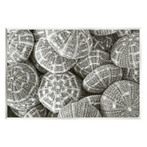 Stupell Industries Pewter Sea Urchins Photography Animals & Insects Photography Unframed Art Print Wall Art, 15 x 10