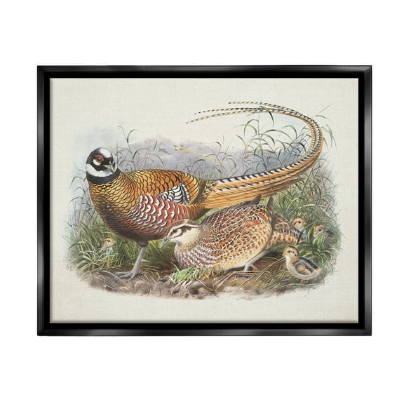 Stupell Industries Pheasant Family in Nature Animals & Insects Painting Black Floater Framed Canvas Art Print Wall Art, 21 x 17