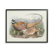 Stupell Industries Pheasant Family in Nature Animals & Insects Painting Black Framed Art Print Wall Art, 14 x 11