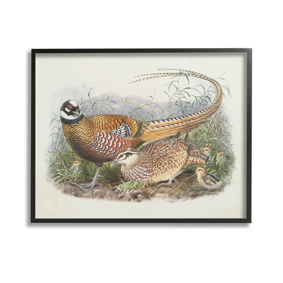 Stupell Industries Pheasant Family in Nature Animals & Insects Painting Black Framed Art Print Wall Art, 14 x 11