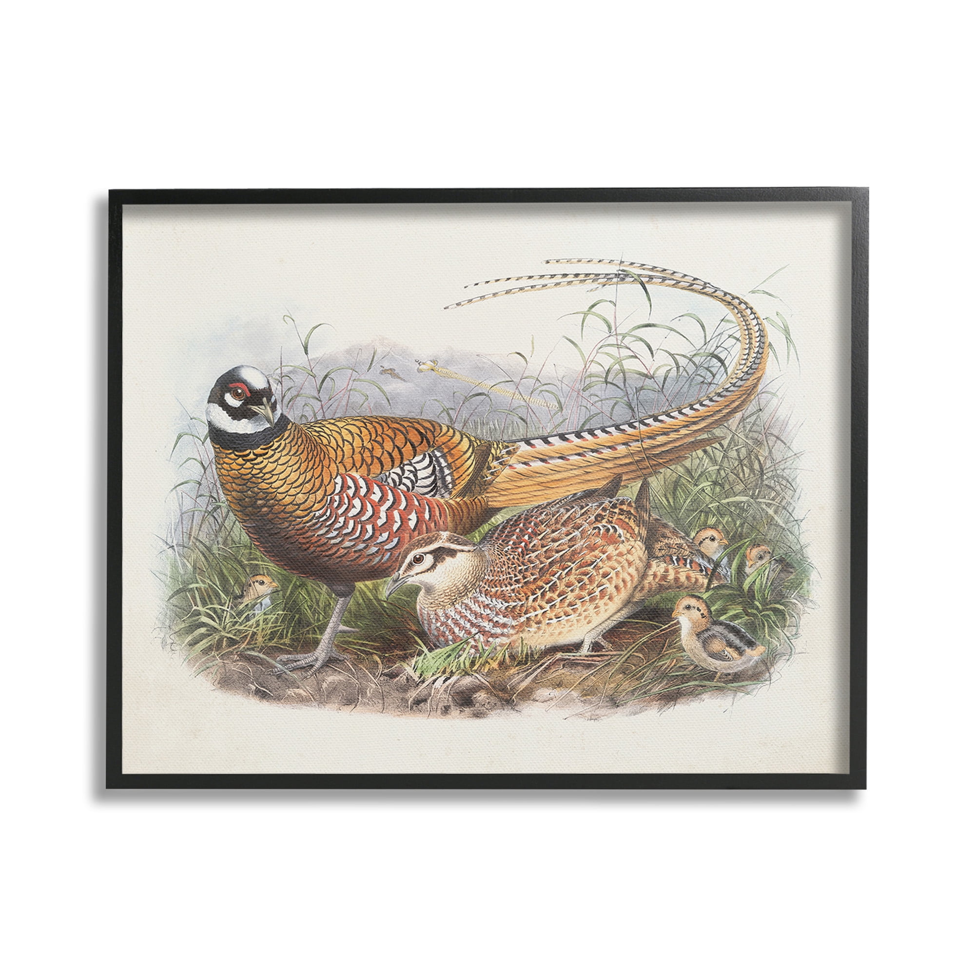 Stupell Industries Pheasant Family in Nature Animals & Insects Painting Black Framed Art Print Wall Art, 30 x 24