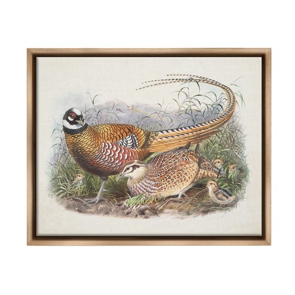 Stupell Industries Pheasant Family in Nature Animals & Insects Painting Brown Floater Framed Canvas Art Print Wall Art, 21 x 17