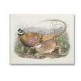 thumbnail image 1 of Stupell Industries Pheasant Family in Nature Animals & Insects Painting Gallery Wrapped Canvas Art Print Wall Art, 20 x 16, 1 of 8