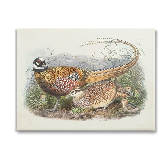 Stupell Industries Pheasant Family in Nature Animals & Insects Painting Gallery Wrapped Canvas Art Print Wall Art, 40 x 30
