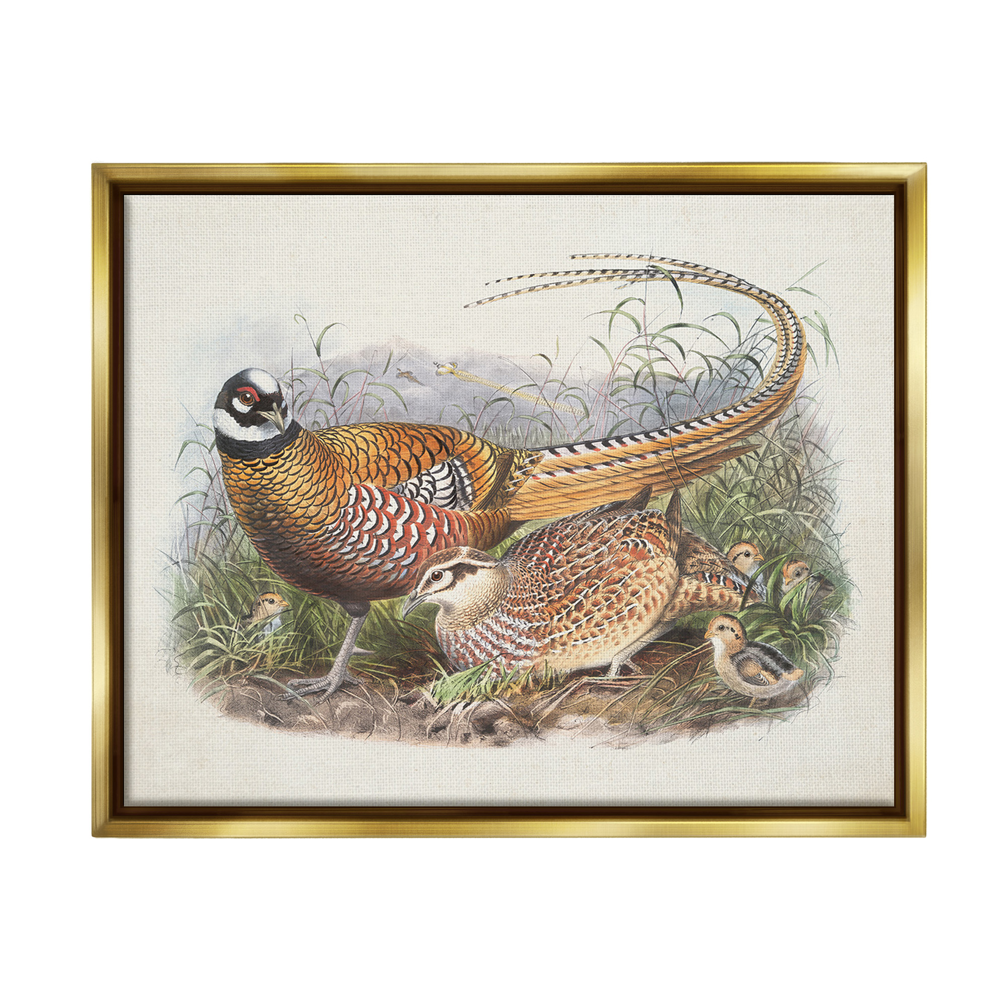 Stupell Industries Pheasant Family in Nature Animals & Insects Painting Gold Floater Framed Canvas Art Print Wall Art, 31 x 25