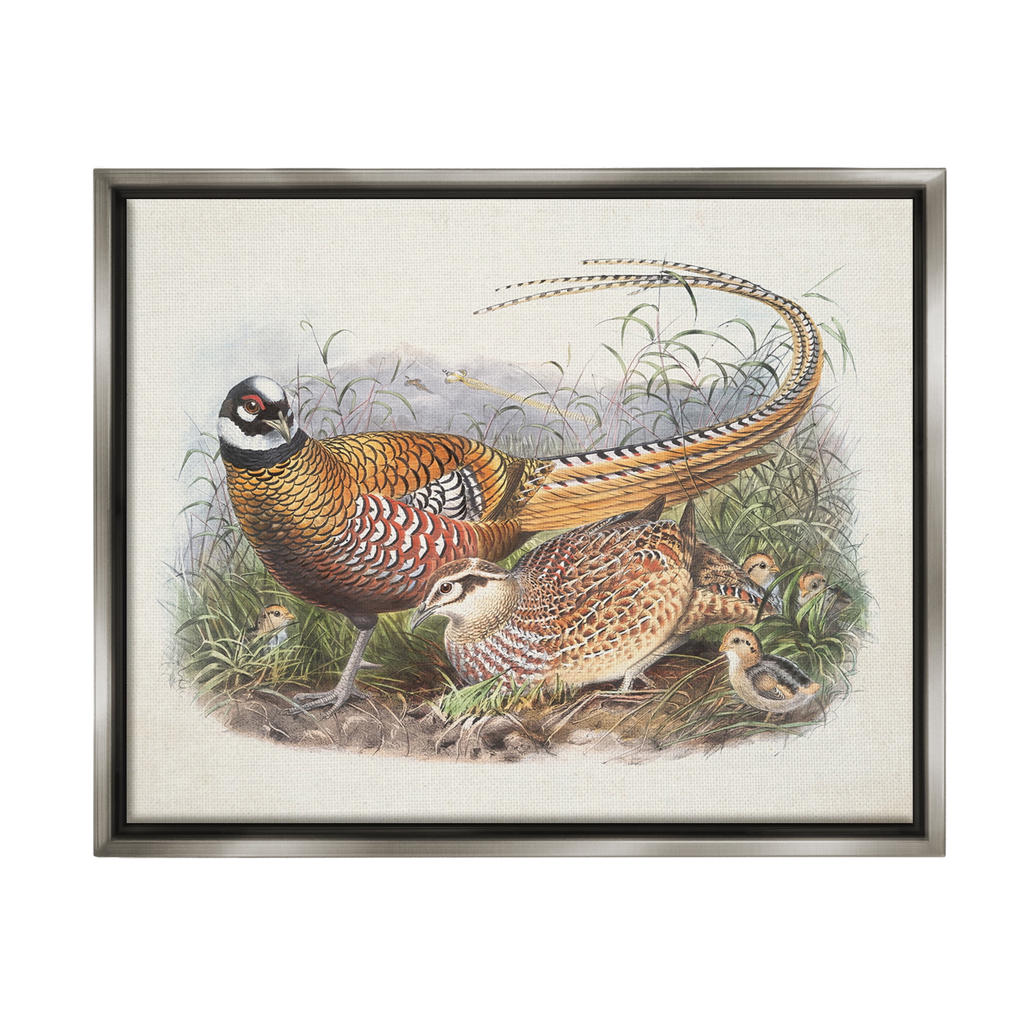 Stupell Industries Pheasant Family in Nature Animals & Insects Painting Gray Floater Framed Canvas Art Print Wall Art, 31 x 25