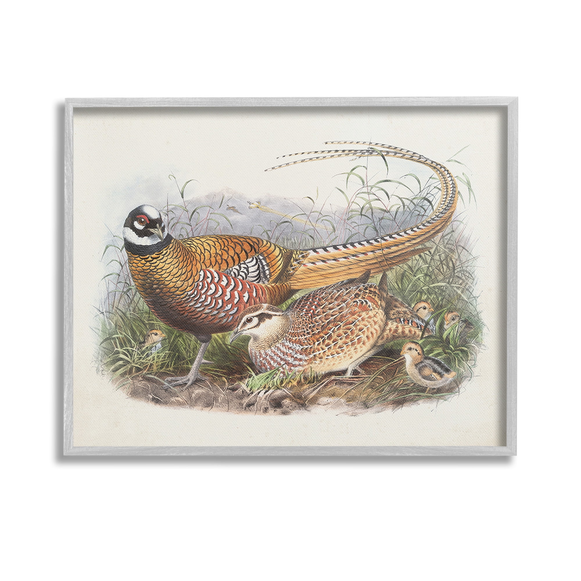 Stupell Industries Pheasant Family in Nature Animals & Insects Painting Gray Framed Art Print Wall Art, 14 x 11