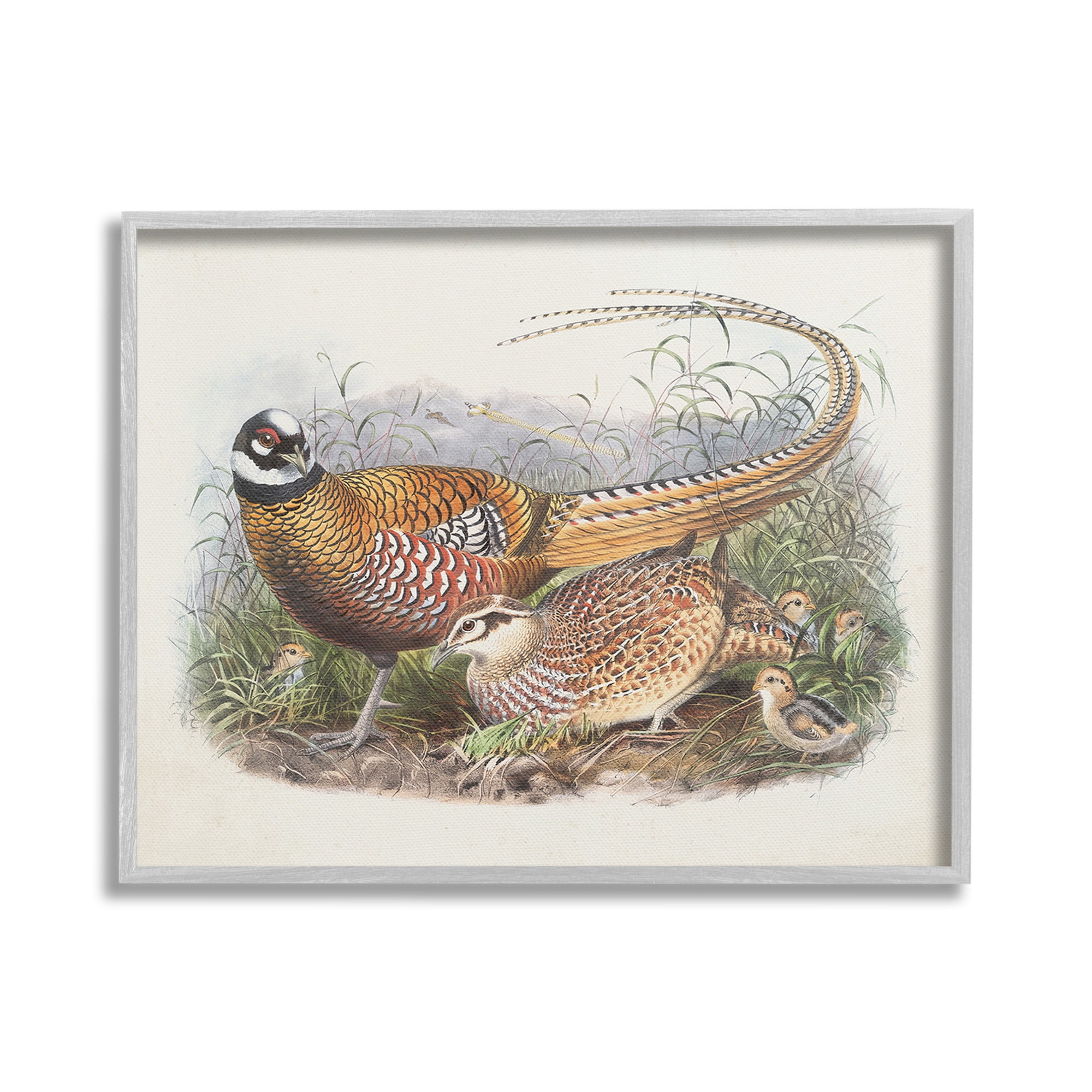 Stupell Industries Pheasant Family in Nature Animals & Insects Painting Gray Framed Art Print Wall Art, 30 x 24