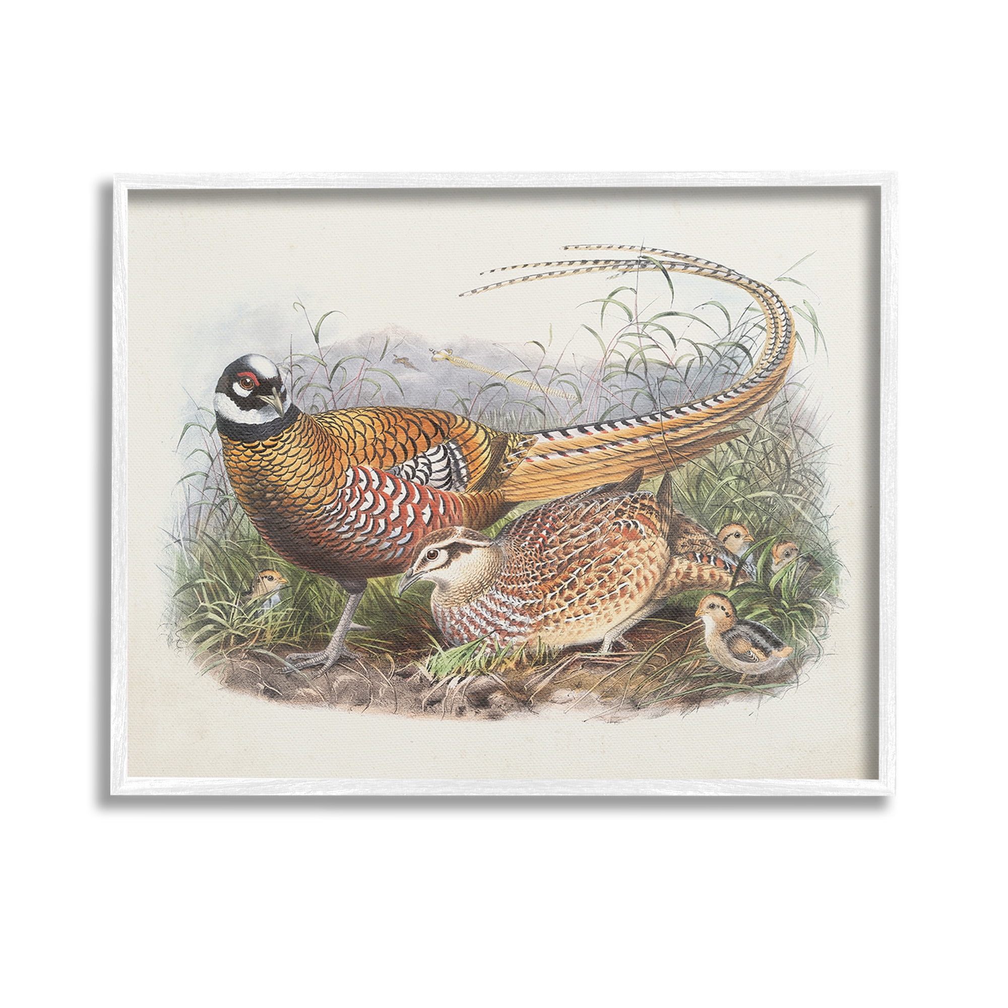 Stupell Industries Pheasant Family in Nature Animals & Insects Painting White Framed Art Print Wall Art, 14 x 11