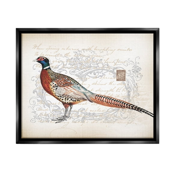 Stupell Industries Pheasant & Vintage Pattern Animals & Insects Painting Black Floater Framed Canvas Art Print Wall Art, 31 x 25