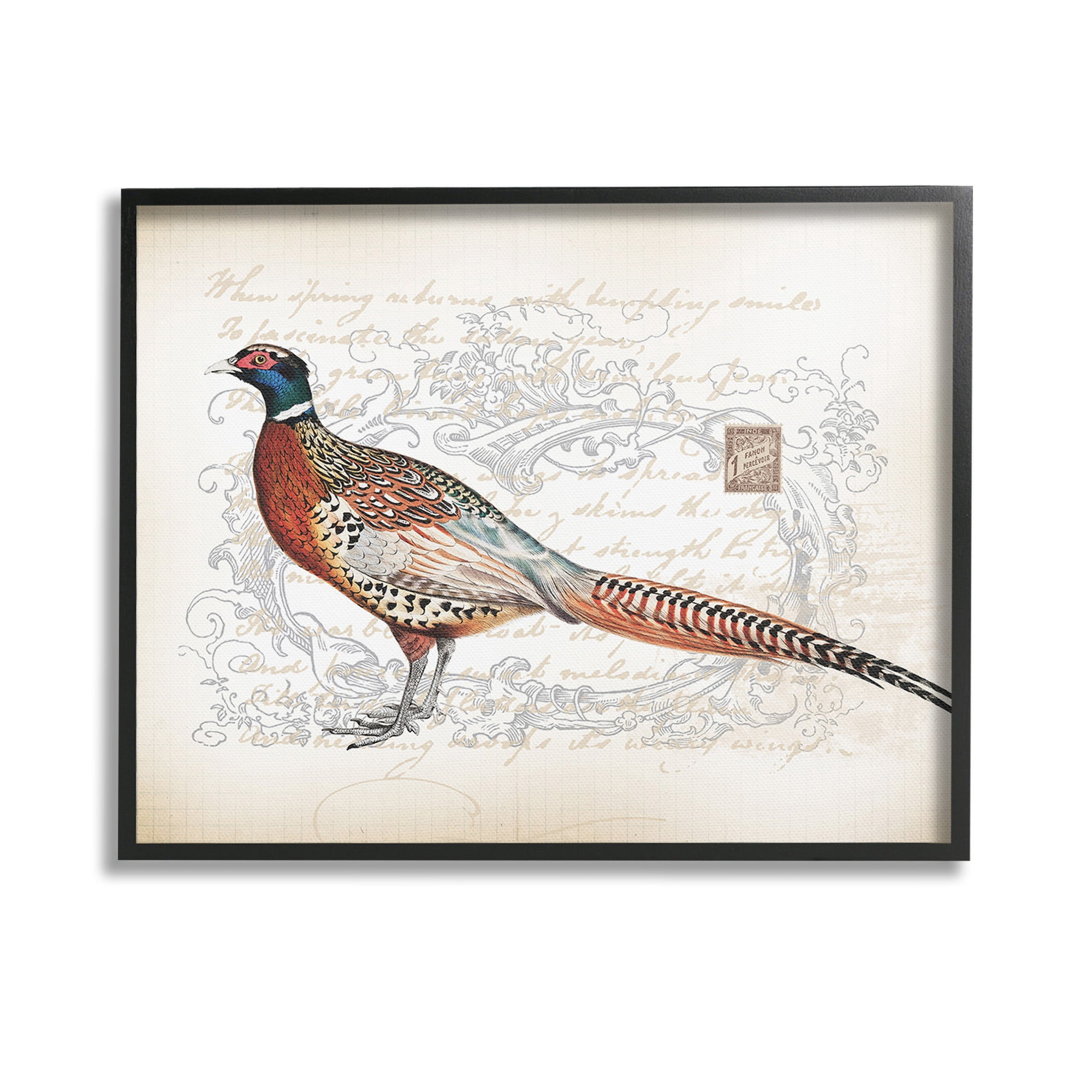 Stupell Industries Pheasant & Vintage Pattern Animals & Insects Painting Black Framed Art Print Wall Art, 14 x 11
