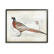 Stupell Industries Pheasant & Vintage Pattern Animals & Insects Painting Black Framed Art Print Wall Art, 14 x 11