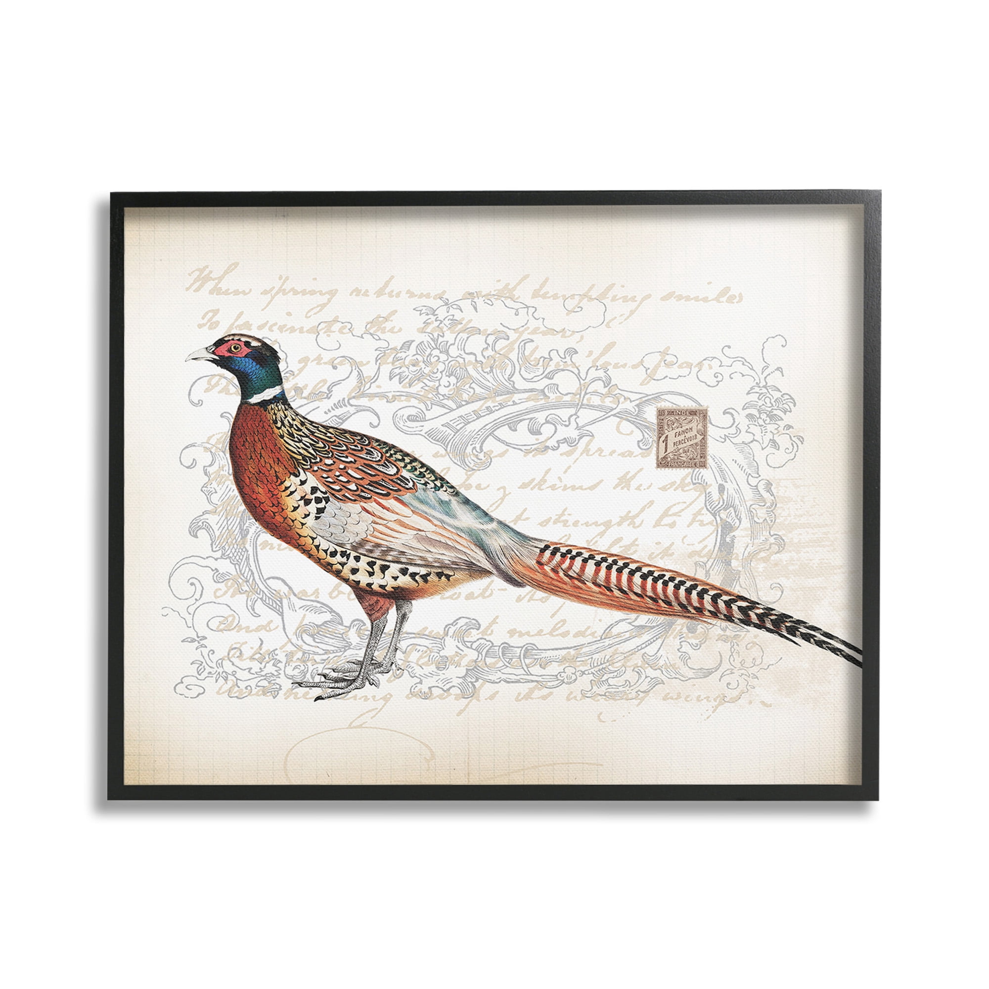 Stupell Industries Pheasant & Vintage Pattern Animals & Insects Painting Black Framed Art Print Wall Art, 20 x 16