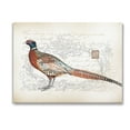 thumbnail image 1 of Stupell Industries Pheasant & Vintage Pattern Animals & Insects Painting Gallery Wrapped Canvas Art Print Wall Art, 48 x 36, 1 of 8