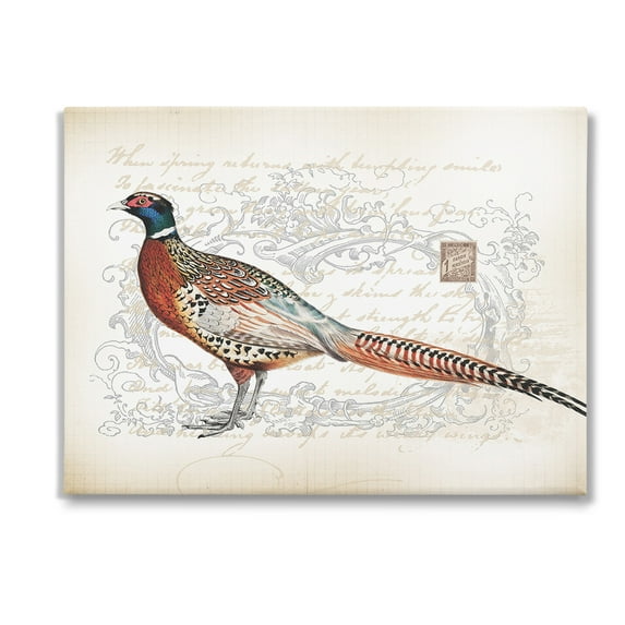 Stupell Industries Pheasant & Vintage Pattern Animals & Insects Painting Gallery Wrapped Canvas Art Print Wall Art, 48 x 36