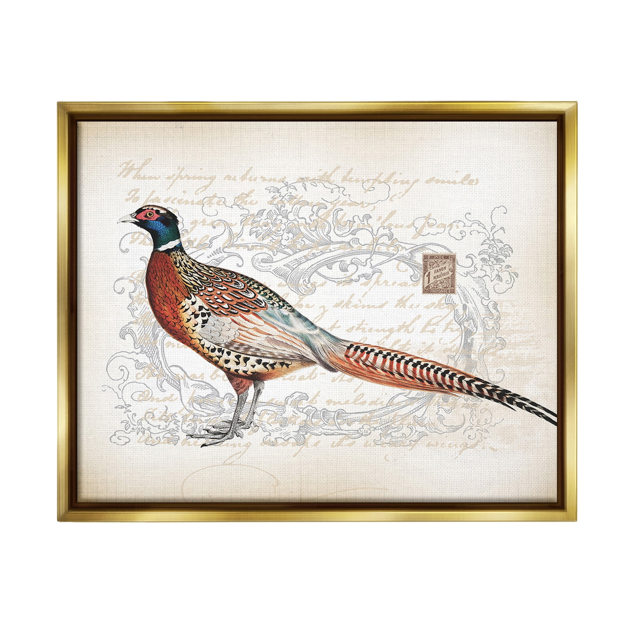 Stupell Industries Pheasant & Vintage Pattern Animals & Insects Painting Gold Floater Framed Canvas Art Print Wall Art, 21 x 17