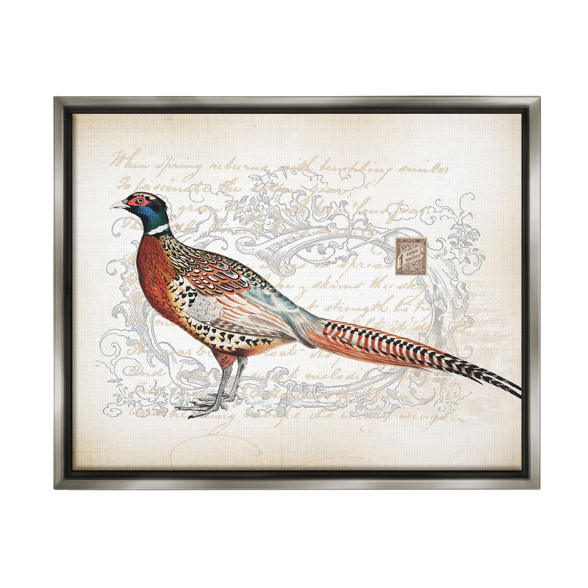 Stupell Industries Pheasant & Vintage Pattern Animals & Insects Painting Gray Floater Framed Canvas Art Print Wall Art, 31 x 25