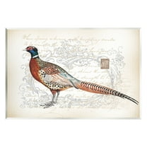 Stupell Industries Pheasant & Vintage Pattern Animals & Insects Painting Unframed Art Print Wall Art, 15 x 10