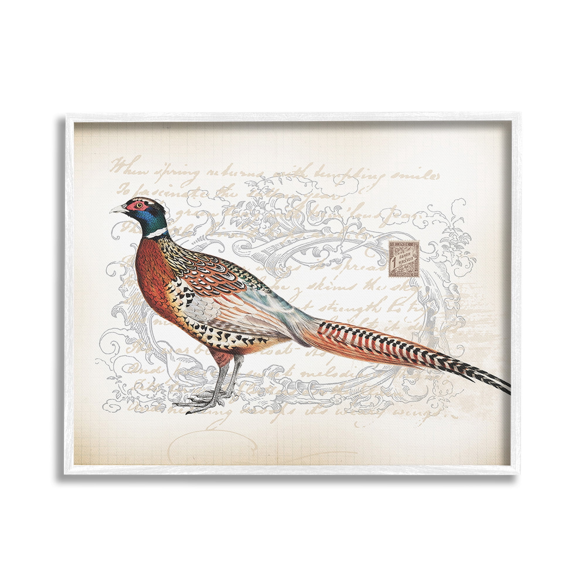 Stupell Industries Pheasant & Vintage Pattern Animals & Insects Painting White Framed Art Print Wall Art, 20 x 16
