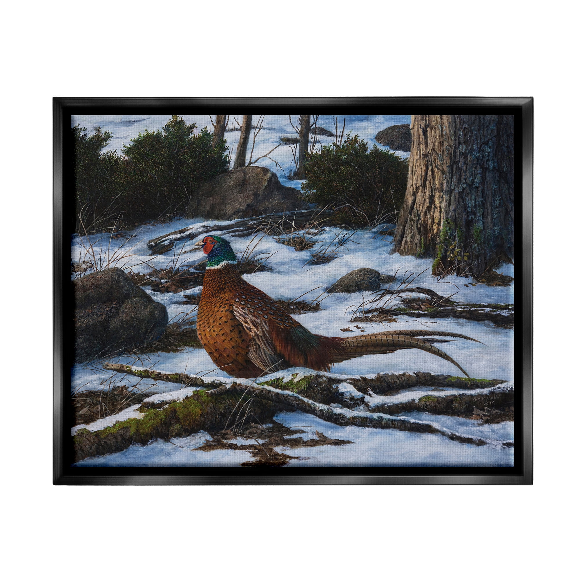 Stupell Industries Pheasant in Snowy Woods Animals & Insects Painting Black Floater Framed Canvas Art Print Wall Art, 21 x 17