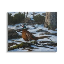 Stupell Industries Pheasant in Snowy Woods Animals & Insects Painting Gallery Wrapped Canvas Art Print Wall Art, 20 x 16