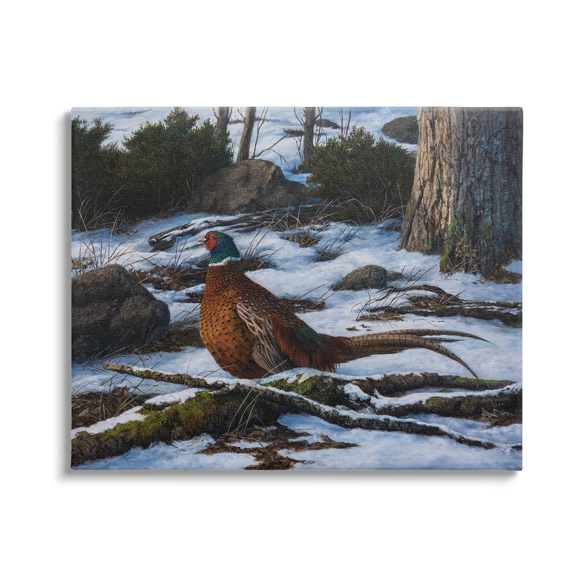 Stupell Industries Pheasant in Snowy Woods Animals & Insects Painting Gallery Wrapped Canvas Art Print Wall Art, 30 x 24