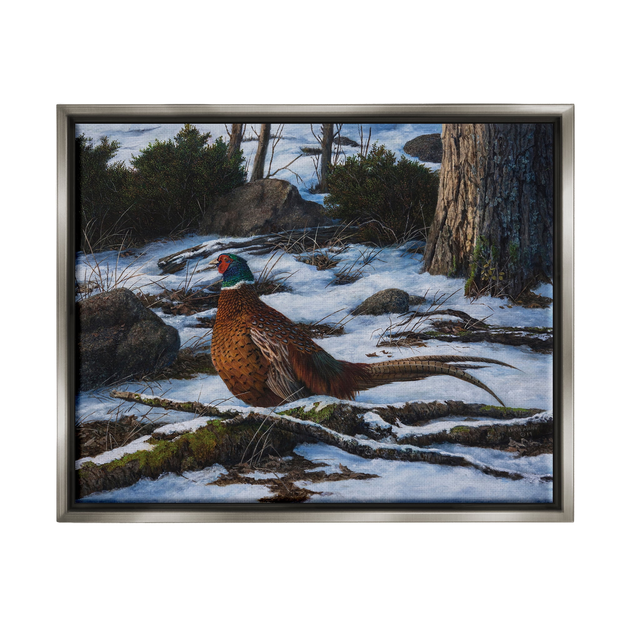 Stupell Industries Pheasant in Snowy Woods Animals & Insects Painting Gray Floater Framed Canvas Art Print Wall Art, 31 x 25