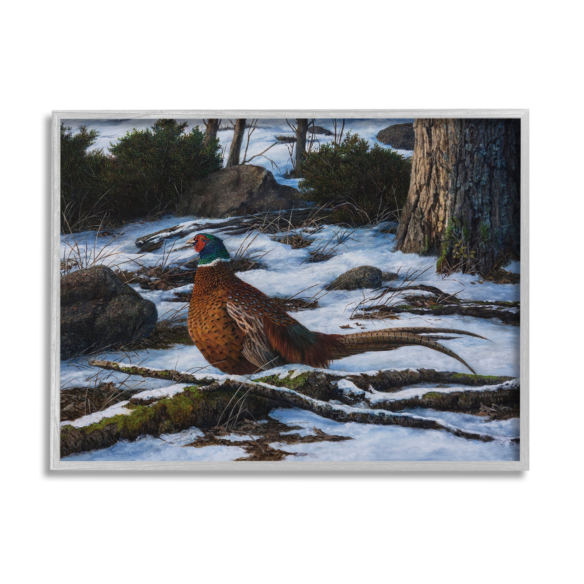 Stupell Industries Pheasant in Snowy Woods Animals & Insects Painting Gray Framed Art Print Wall Art, 30 x 24