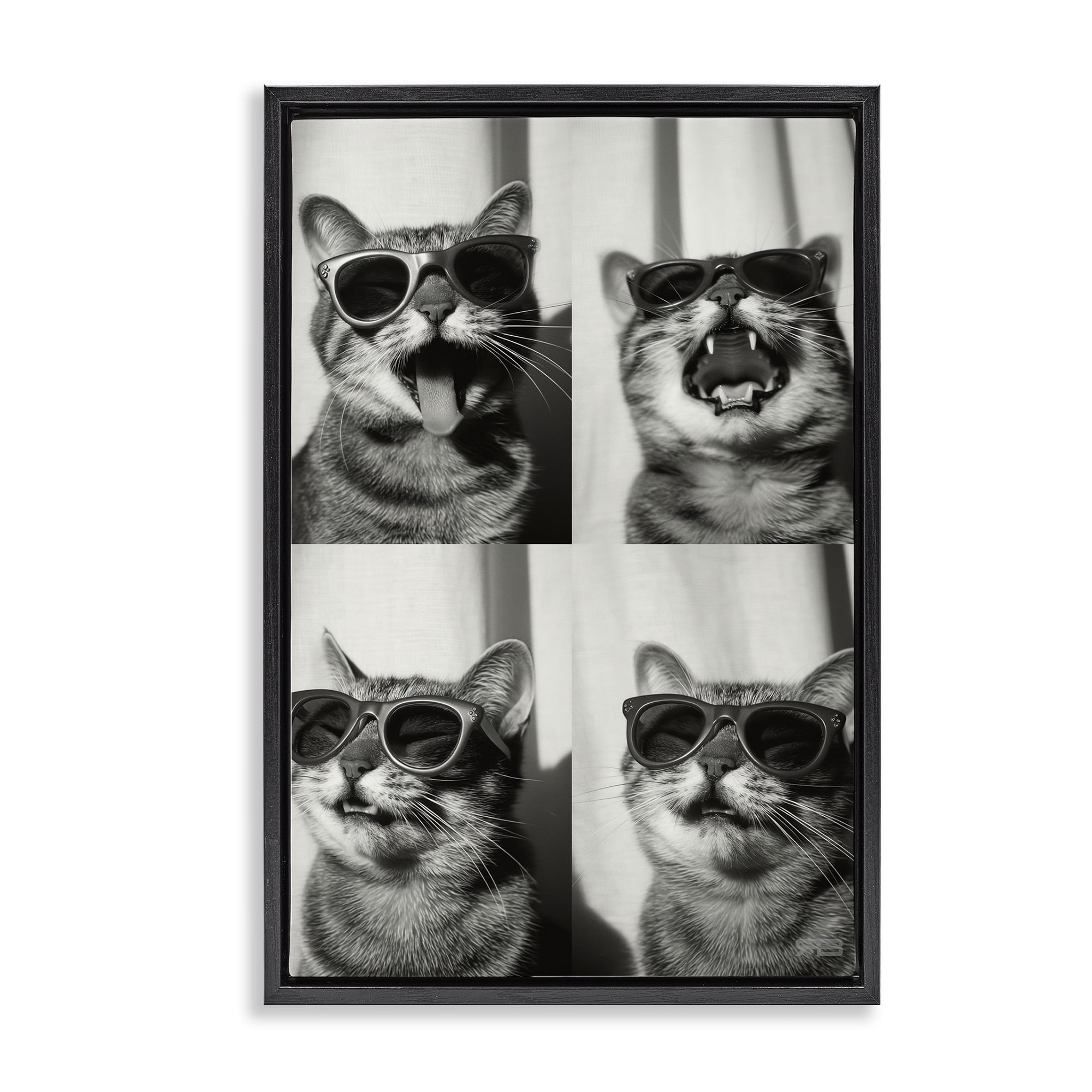 Stupell Industries Photobooth Style Cat Novelty Painting Black Floater Framed Art Print Wall Art, 21 x 31