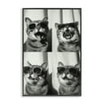 Stupell Industries Photobooth Style Cat Novelty Painting Black Framed