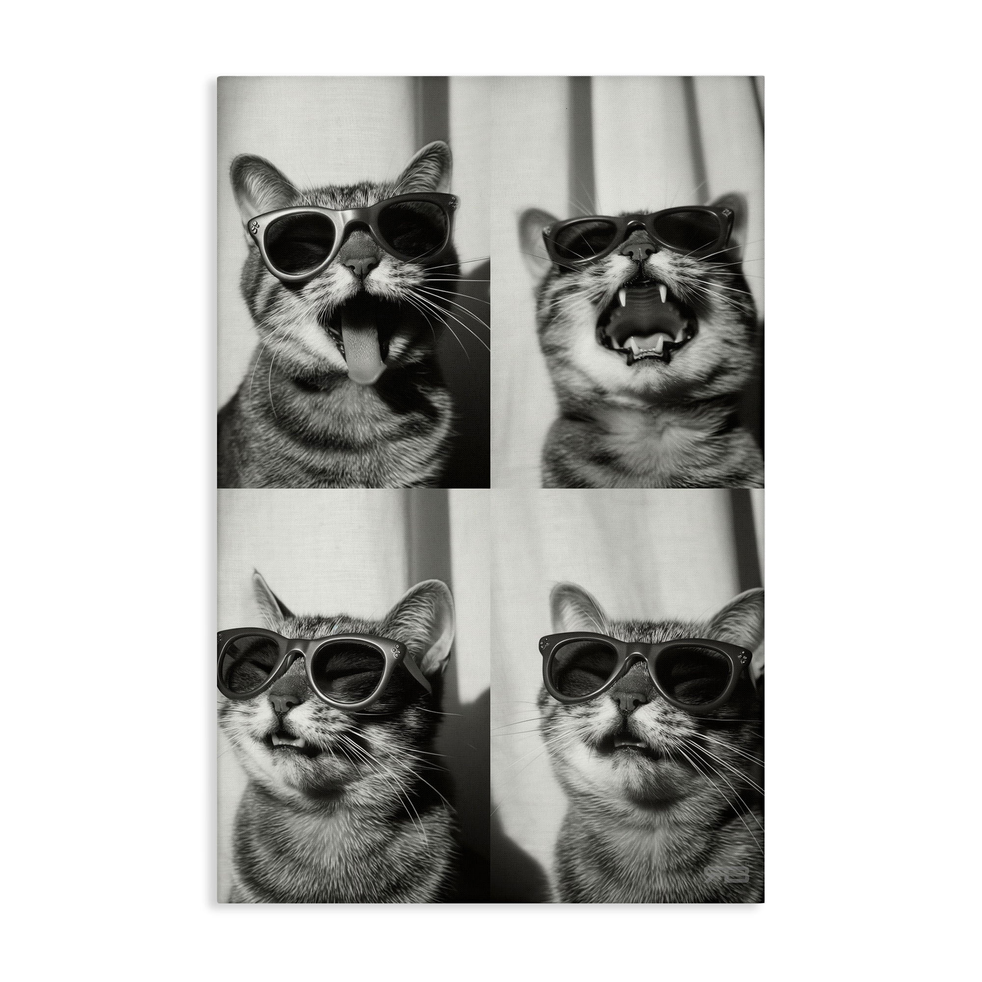 Stupell Industries Photobooth Style Cat Novelty Painting Gallery Wrapped Canvas Art Print Wall Art, 20 x 30
