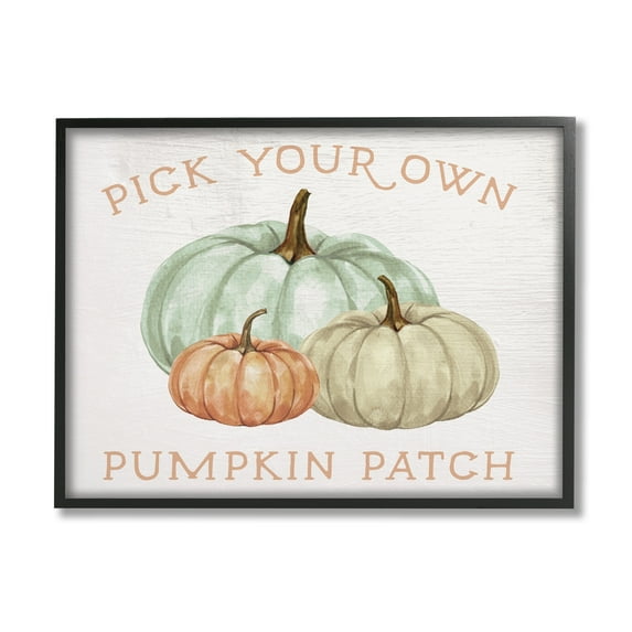 Stupell Industries Pick Your Own Pumpkin Patch Sign Gourd Trio Graphic Art Black Framed Art Print Wall Art, 30x24, by Daphne Polselli