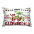 thumbnail image 1 of Stupell Industries Pick Your Own Raspberries Decorative Printed Throw Pillow Design by Creatif Belle., 1 of 6