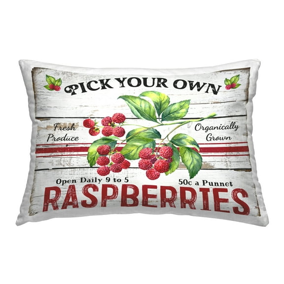 Stupell Industries Pick Your Own Raspberries Decorative Printed Throw Pillow Design by Creatif Belle.